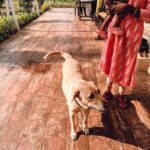 Mansi Srivastava Instagram - Home 🏡 away from home With @saffronstays 📍 Casa de Familia, Karjat Sharing some precious moments from the #crazytrip 🐒😃😽