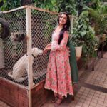 Mayuri Deshmukh Instagram - Shy..... But curious!!! 🌼🌸 👗- @labelnihaar ❤️
