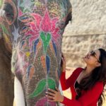 Mayuri Deshmukh Instagram - Haathi Mere Saathi🐘 Gajraj ka Naam -Baabu ☺️ 📸- @abhyss 💜
