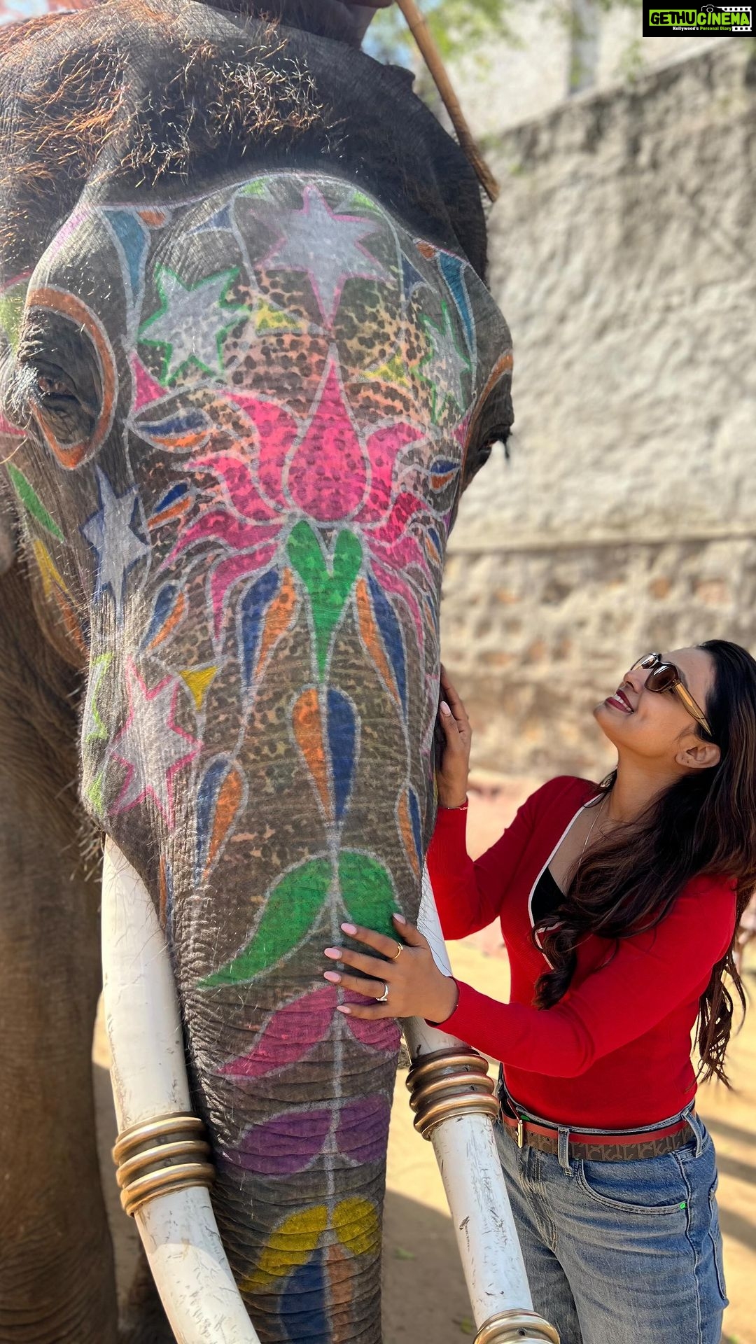 Mayuri Deshmukh Instagram - Haathi Mere Saathi🐘 Gajraj ka Naam -Baabu ☺️ 📸- @abhyss 💜