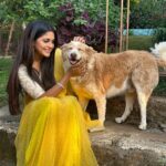 Megha Chakraborty Instagram - ❤️ #meghachakraborty #doglover #golu