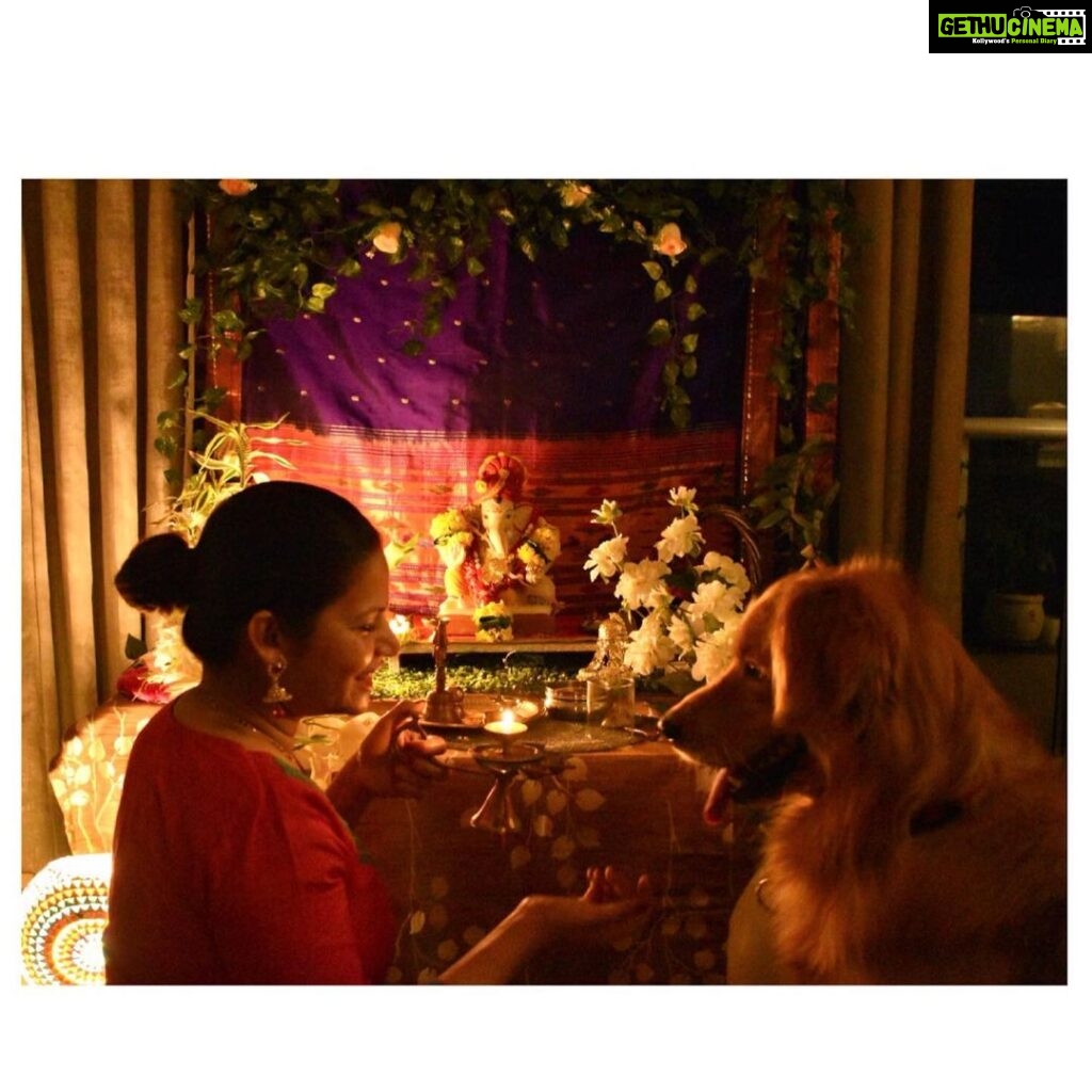 Megha Dhade Instagram - blessing @thegoldenlifeofleo ❤️ #internationaldogsday