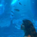 Megha Dhade Instagram - major missing this beauty ❤️ Sentosa Island Singapore