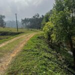 Meghana Lokesh Instagram - Grow through what you go through.🕊️🤍 #aesthetic #nature #love COORG - The Scotland Of India