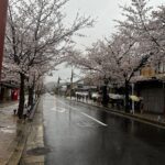 Meghana Lokesh Instagram - Beautiful Arashiyama 🌸 #lovingjapan #beauty #people #life #exploring #cities #citiesoftheworld #beautifulkyoto