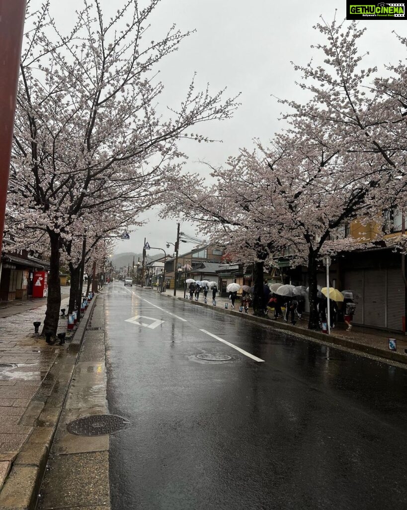 Meghana Lokesh Instagram - Beautiful Arashiyama 🌸 #lovingjapan #beauty #people #life #exploring #cities #citiesoftheworld #beautifulkyoto