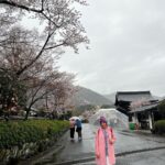 Meghana Lokesh Instagram - Beautiful Arashiyama 🌸 #lovingjapan #beauty #people #life #exploring #cities #citiesoftheworld #beautifulkyoto