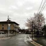 Meghana Lokesh Instagram - Beautiful Arashiyama 🌸 #lovingjapan #beauty #people #life #exploring #cities #citiesoftheworld #beautifulkyoto