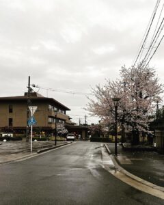 Meghana Lokesh Instagram - Beautiful Arashiyama 🌸
#lovingjapan #beauty #people #life #exploring #cities #citiesoftheworld #beautifulkyoto