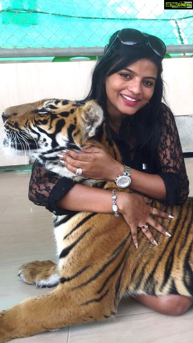 Mitali Nag Instagram - Tell me which one are you 😀 . . #mitaalinag #reels #reelsinstagram #afsarbitiya #trending #devi #ghkkpm #draupadi #tejaswini #tvirus #aashiqana #333 #thailand #tiger #tigerpark