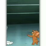 Mohana Bhogaraju Instagram – TOM  and JERRY is my favorite!!
Thank you  for the edit..I liked it so much!!
HAPPY DAYS
Arey rey ❤️ on my youtube channel!!