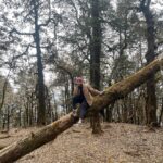 Munira Kudrati Instagram - The complexity of trees