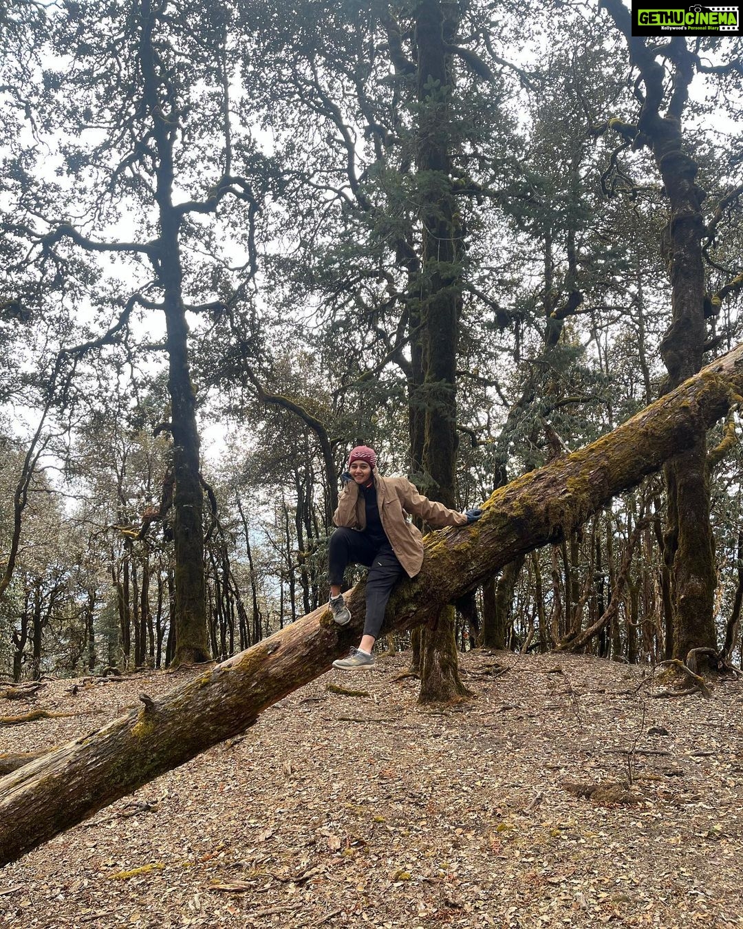 Munira Kudrati Instagram - The complexity of trees