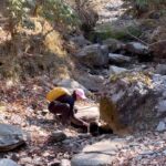 Munira Kudrati Instagram - For all those 3-4 days we were in the Himalayan mountains, we drank water from various different streams, rivers and waterfalls… legit no filtration required ! . . . . . #explore #instagood #instadaily #instagram #reelsinstagram #reels #reelsviral #trekkingindia #treks #travelphotography #travel #uttarakhand #himalayan #himalayas #alibednibugyaltrek #forest #forests #fyp Ali Bedni Bugyal Trek