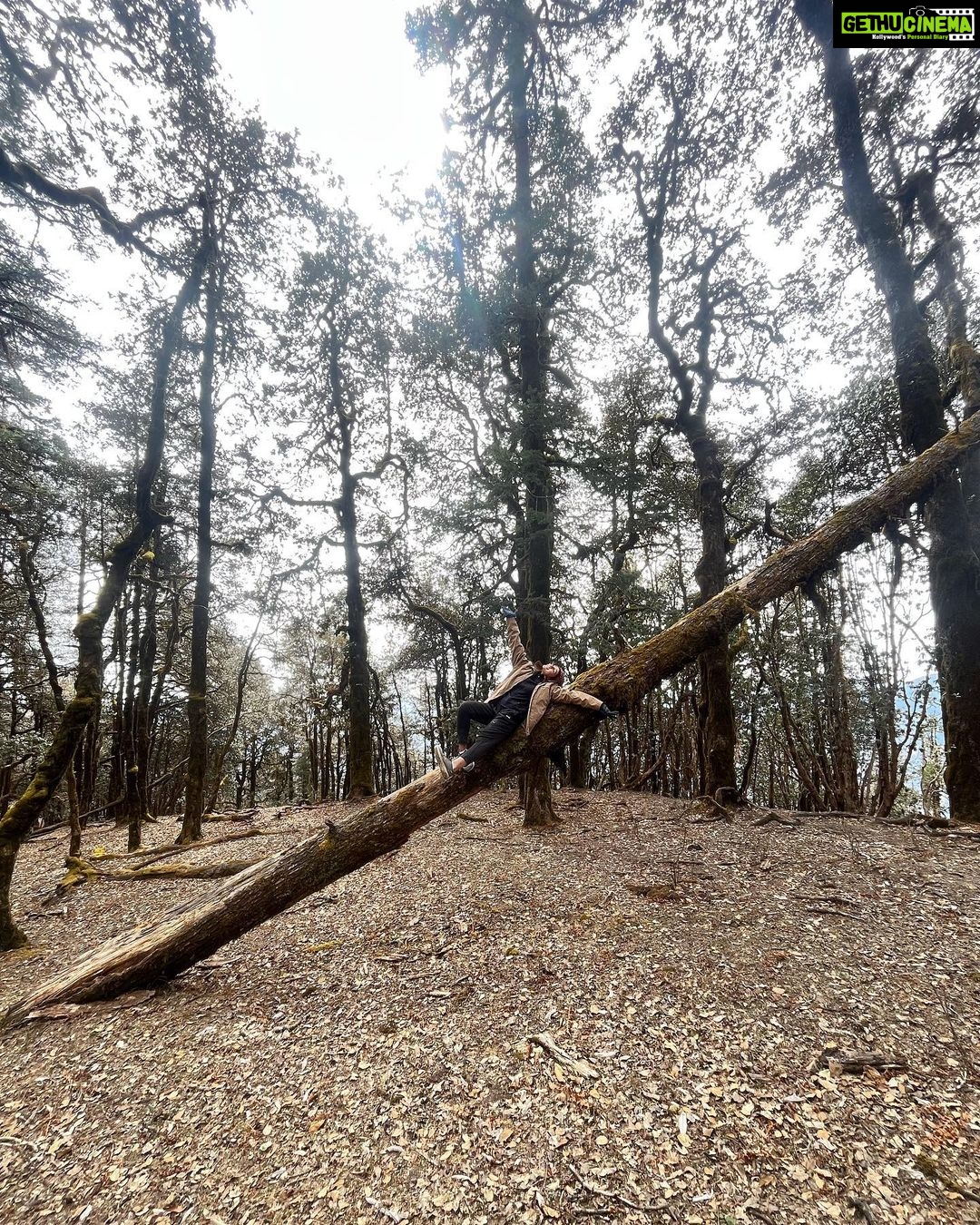 Munira Kudrati Instagram - The complexity of trees