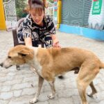 Munmun Dutta Instagram – Meri sabse purani bachchi 🐕 ❤️

#munmundutta #myfurbabies