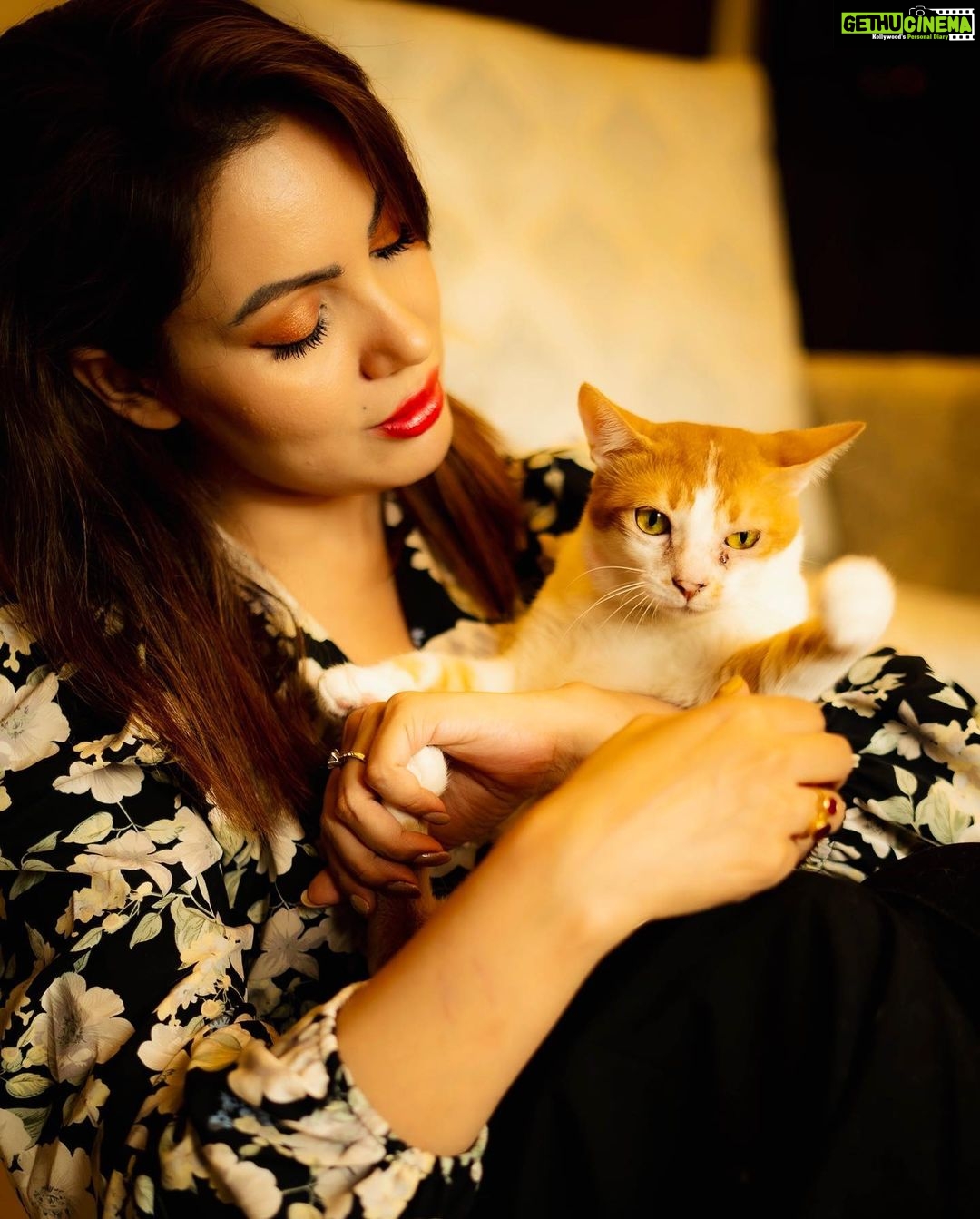 Munmun Dutta Instagram - My ❤️ . Mau hate taking pictures. Her expression says it all in the last slide 😏 📸 @kailashgandhi P.S - Cookie 🐱 prefers sleeping than interacting with guests at home . . . #nationalpetday #adoptdontshop #myheart❤️ #catsagram #munmundutta #myfurbaby