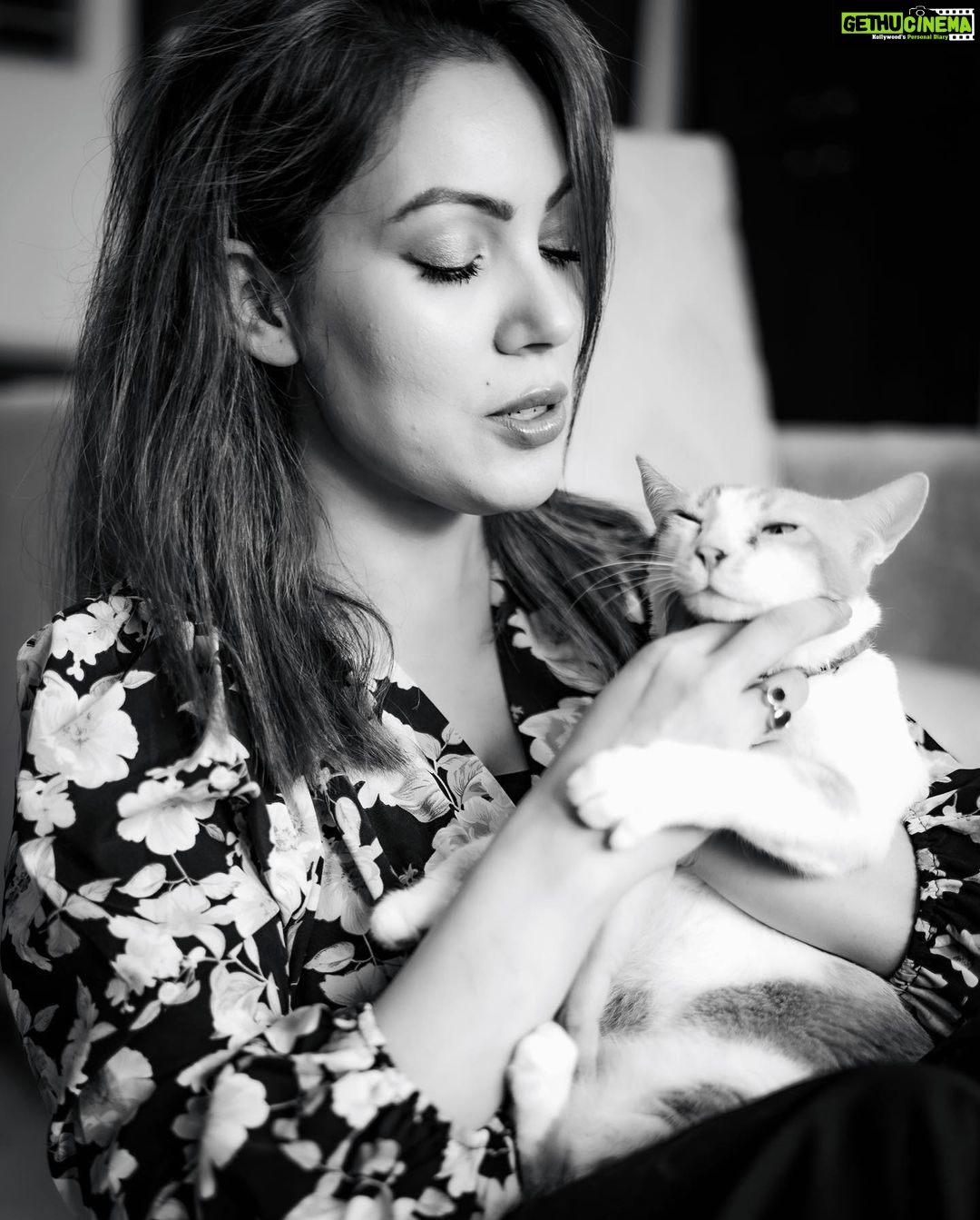 Munmun Dutta Instagram - My ❤️ . Mau hate taking pictures. Her expression says it all in the last slide 😏 📸 @kailashgandhi P.S - Cookie 🐱 prefers sleeping than interacting with guests at home . . . #nationalpetday #adoptdontshop #myheart❤️ #catsagram #munmundutta #myfurbaby