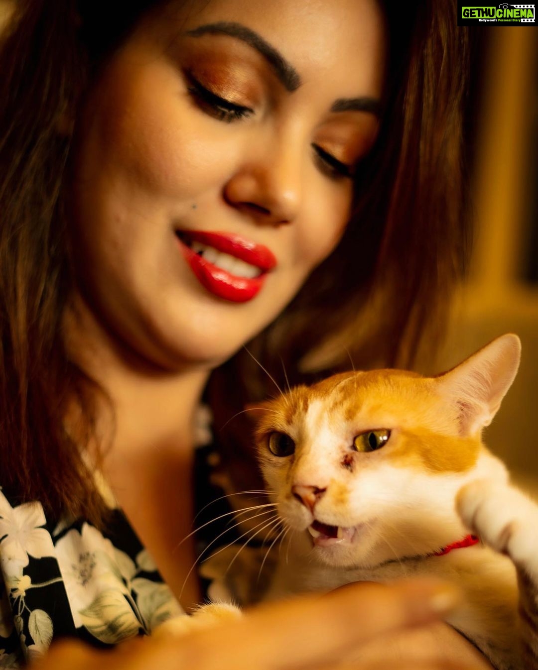 Munmun Dutta Instagram - My ❤️ . Mau hate taking pictures. Her expression says it all in the last slide 😏 📸 @kailashgandhi P.S - Cookie 🐱 prefers sleeping than interacting with guests at home . . . #nationalpetday #adoptdontshop #myheart❤️ #catsagram #munmundutta #myfurbaby