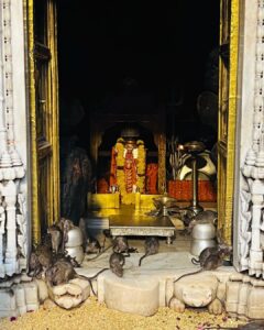 Munmun Dutta Instagram - Last year in May , while visiting Bikaner for an event, I and my team had the divine opportunity to visit Karni Mata temple in Deshnoke 🙏🏻 

The temple is dedicated to Karni Mata, who the locals believe is an incarnation of Goddess Durga, the protective Mother Goddess in Hindu religion. 

The Karni Mata Mandir is popular for being home to over 25,000 rats that inhabit and freely meander around the temple complex. 

People from different corners of India and abroad come to witness this astounding spectacle and also bring milk, sweets and other offerings for these sacred beings. 

This has to be one of the most unique experiences I have had 🙏🏻❤️

.
#karnimata #karnimatatemple #rajasthan #munmundutta #divineenergy #templesofindia #hinduism #hindutemple