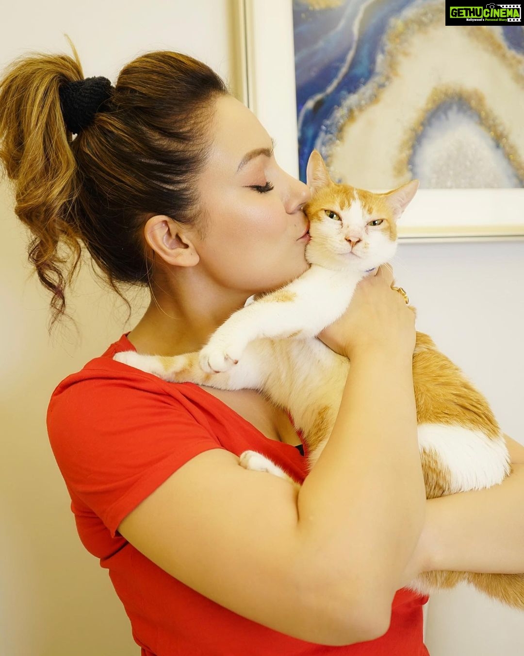 Munmun Dutta Instagram - Swipe to see the struggle for just ONE decent picture with my Mau .. Only a cat parent will understand π
π
. Cookie, my younger one , wonβt be even visible π . . #munmundutta #postoftheday #catsofinstagram #catmom #catmomlife #picturesoftheday