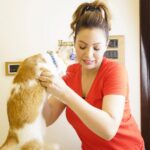 Munmun Dutta Instagram - Swipe to see the struggle for just ONE decent picture with my Mau .. Only a cat parent will understand 😅😅 . Cookie, my younger one , won’t be even visible 😂 . . #munmundutta #postoftheday #catsofinstagram #catmom #catmomlife #picturesoftheday