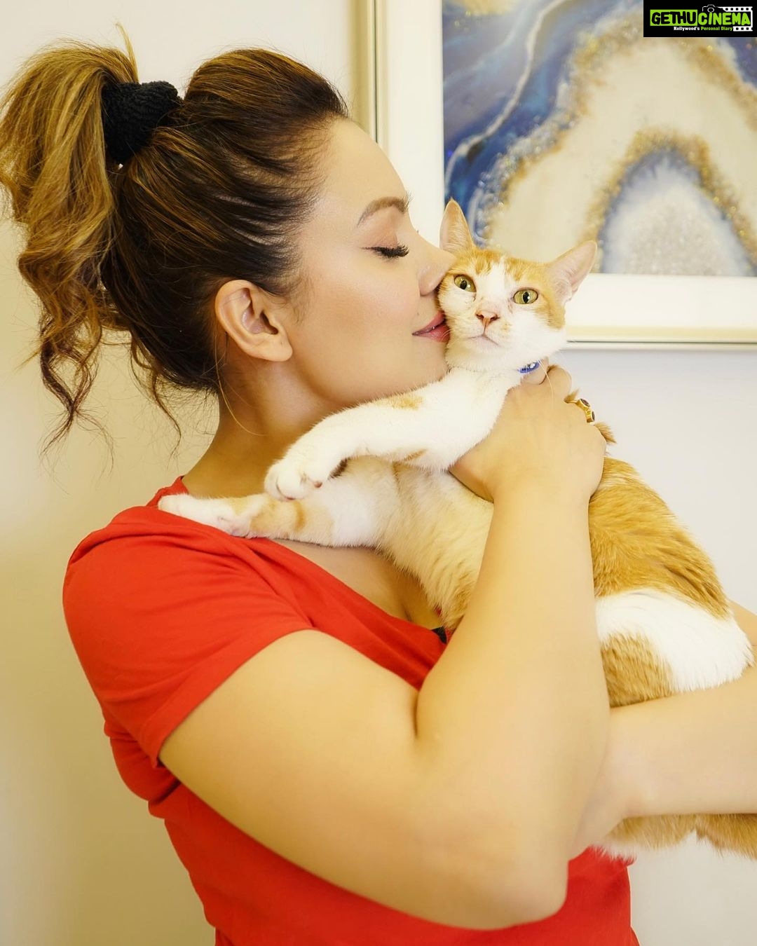 Munmun Dutta Instagram - Swipe to see the struggle for just ONE decent picture with my Mau .. Only a cat parent will understand π
π
. Cookie, my younger one , wonβt be even visible π . . #munmundutta #postoftheday #catsofinstagram #catmom #catmomlife #picturesoftheday