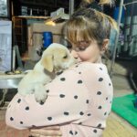 Munmun Dutta Instagram - Oh these little cuties 🐶 😘😘😘 . . #puppygram #cutiesonset #munmundutta #picturesoftheday #love