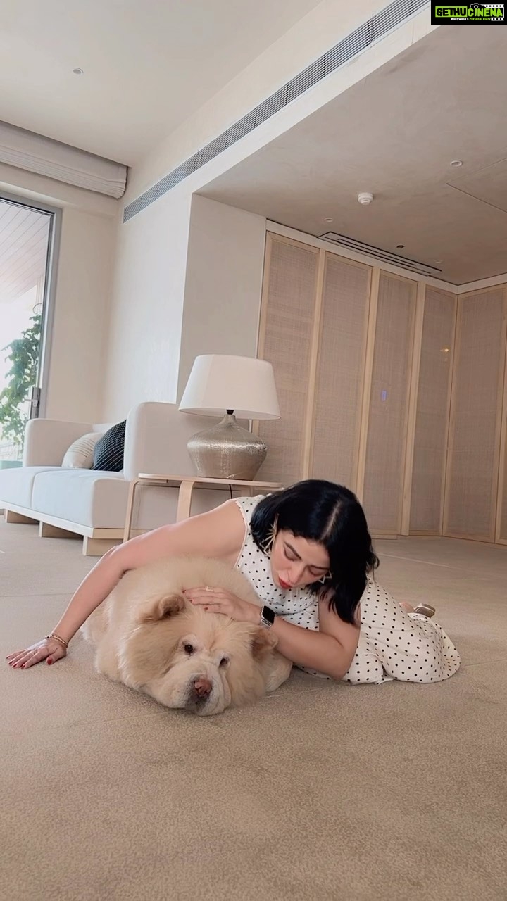 Neha Pendse Instagram - This song is made for us ❤️🌼 #teddy #chowchow #soulmate #firstborn #khaleesi #dracarys