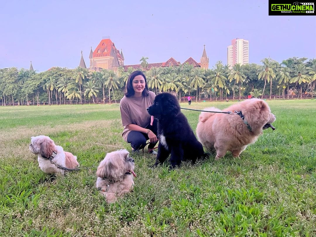 Neha Pendse Instagram - Who knew this would be therapeutic to me and my kids ?? Sunday well spent. #doggo #mommy #duties Oval Maidan.