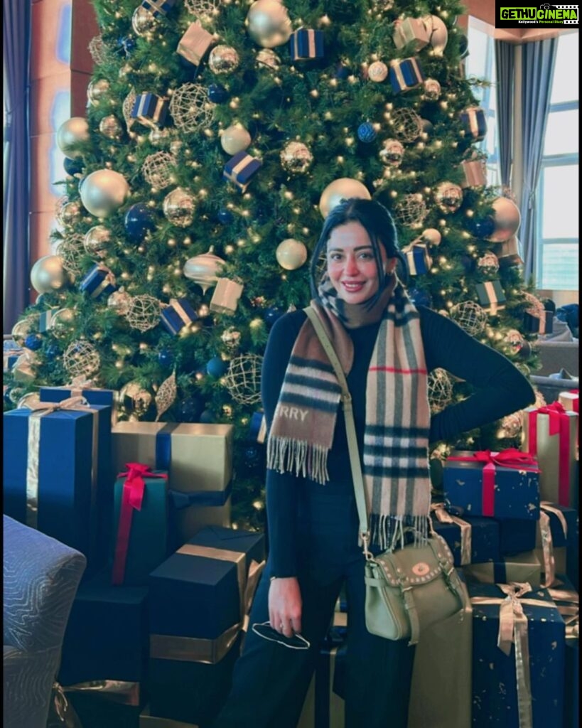Neha Pendse Instagram - Merry merry merry🧿 The Ritz-Carlton, Tokyo