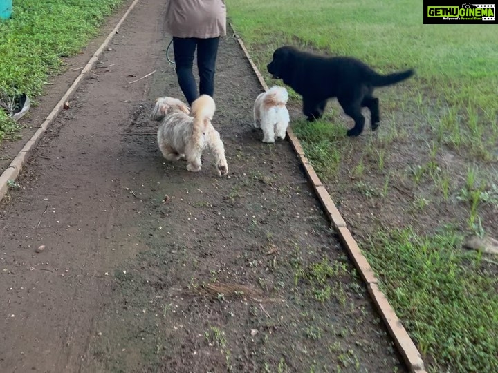 Neha Pendse Instagram - Who knew this would be therapeutic to me and my kids ?? Sunday well spent. #doggo #mommy #duties Oval Maidan.