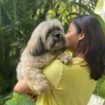 Neha Pendse Instagram - My stress busters ..a hug from ur loved ones is all u need .. did u share ur share of love ❤️