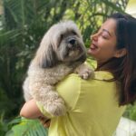 Neha Pendse Instagram - My stress busters ..a hug from ur loved ones is all u need .. did u share ur share of love ❤️