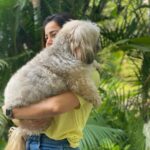 Neha Pendse Instagram - My stress busters ..a hug from ur loved ones is all u need .. did u share ur share of love ❤️