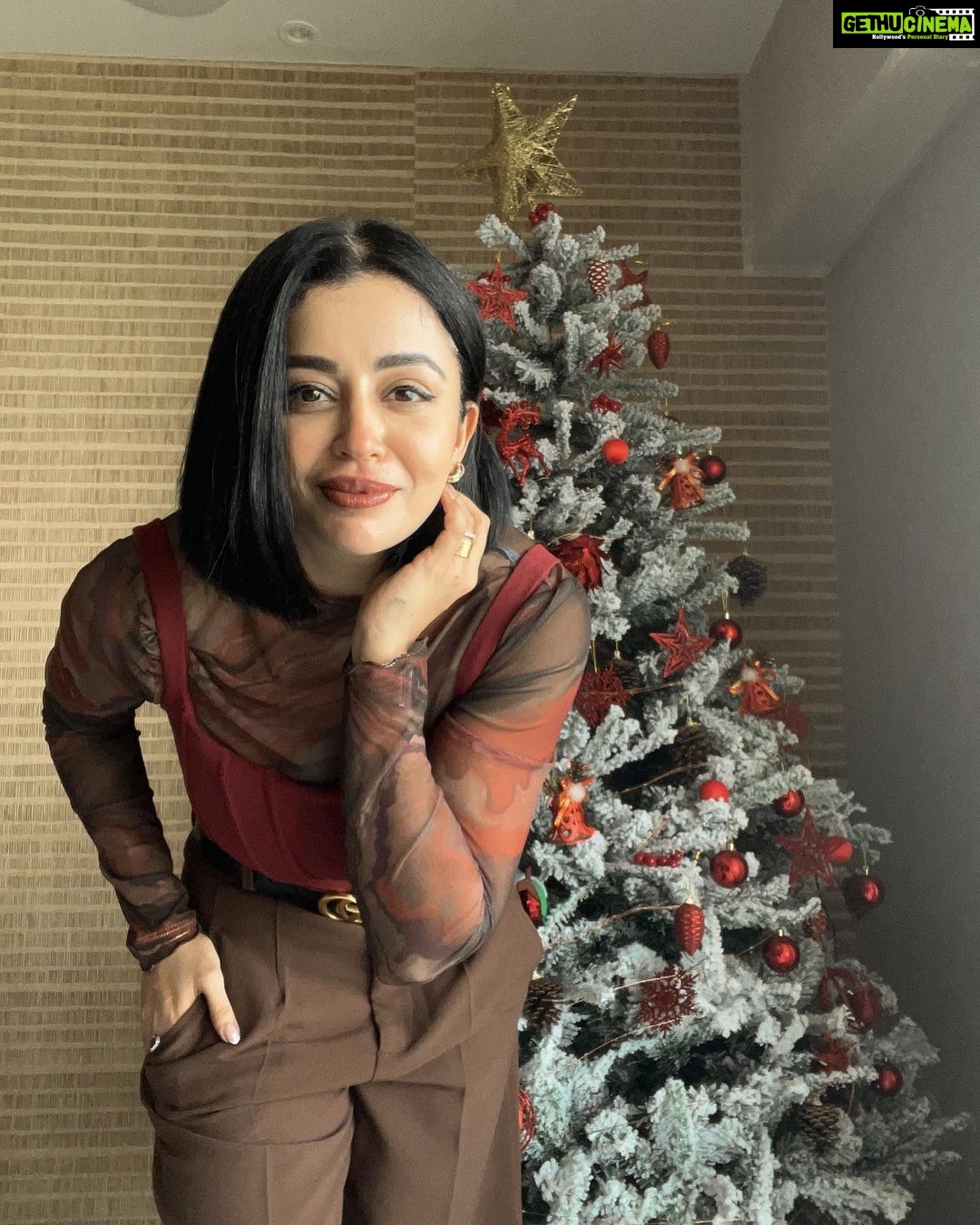 Neha Pendse Instagram - Can’t I keep this tree home all year long ? No I guess!! Ok a quick pic before I pack this gorgeous tree for next year.. ❤️🤎