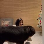 Neha Pendse Instagram - My baby Maggi , is jaan of the house. This gentle gaint has made a place in everybody’s heart is such a short span. We love you baby Maggi. Also , this is only 6 months growth till now 😅🎄🧿
