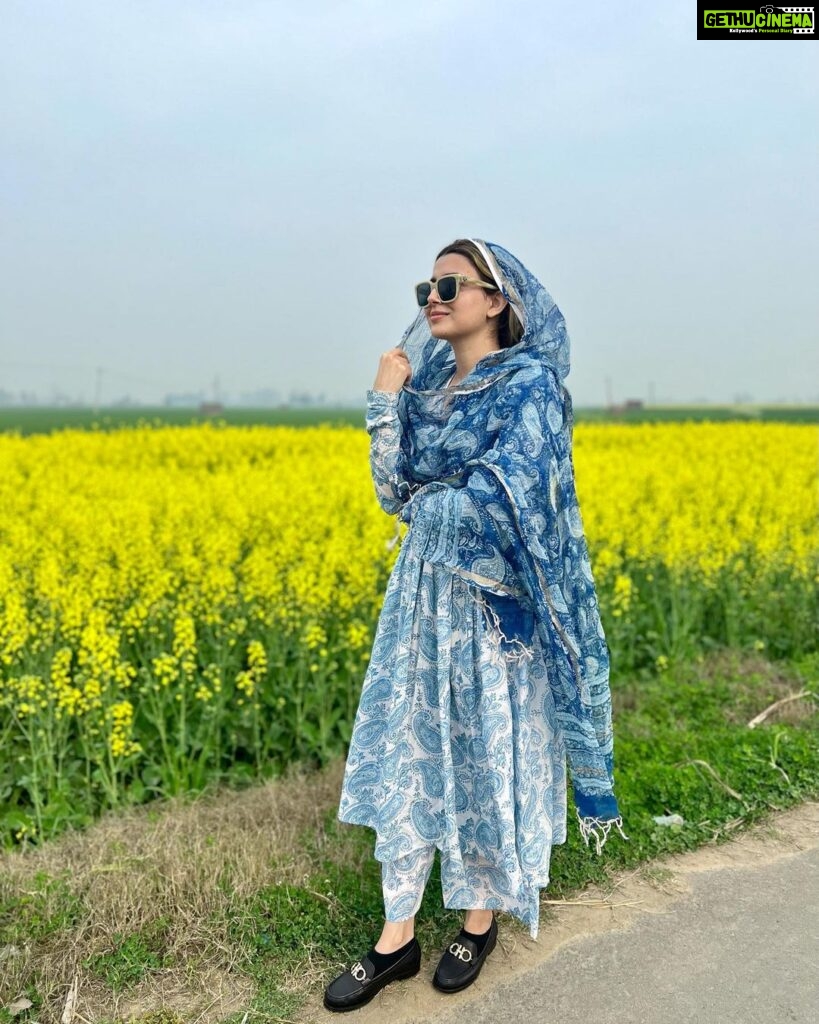 Nimrat Khaira Instagram - 🤍🤍 ਪੰਜਾਬ پنجاب Punjab