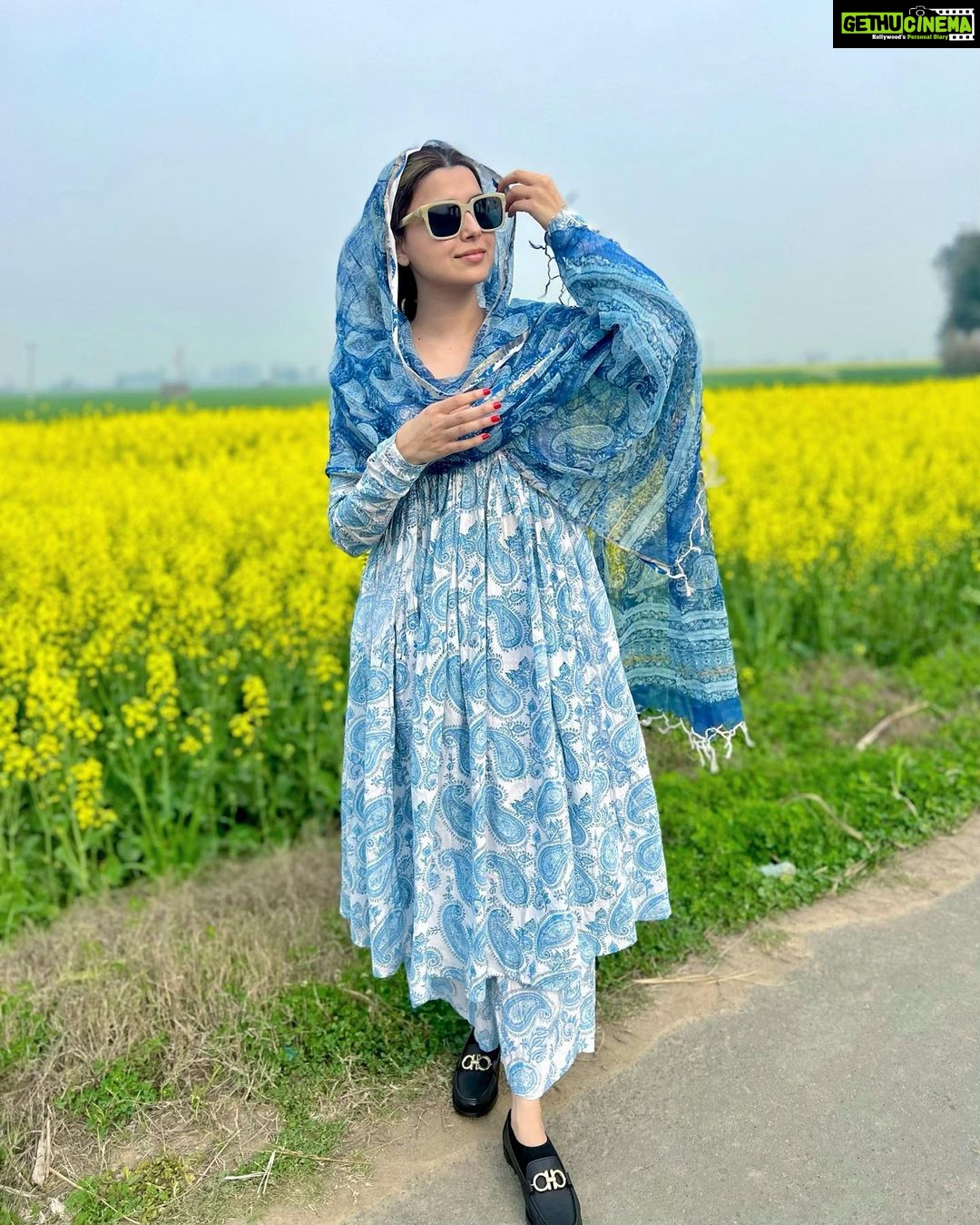 KALIYAAN SUITS inspired by @Nimratkhaira currently on #sale for #eofy ... |  TikTok