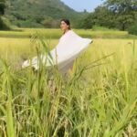 Nimrit Kaur Ahluwalia Instagram - Expectation V Reality 🌻 // here’s bringing to you a glimpse of our mischief ( @prabhatrawat75 & I ) & @jaladhsharma sir’s disappointment 🙊🙈 #nimritahluwalia #bts #expectationsvsreality