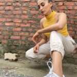 Nimrit Kaur Ahluwalia Instagram - 🌻 📸: @amitrajput_mua