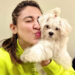 Oindrila Sen Instagram - Meet my son #TULO 🐩