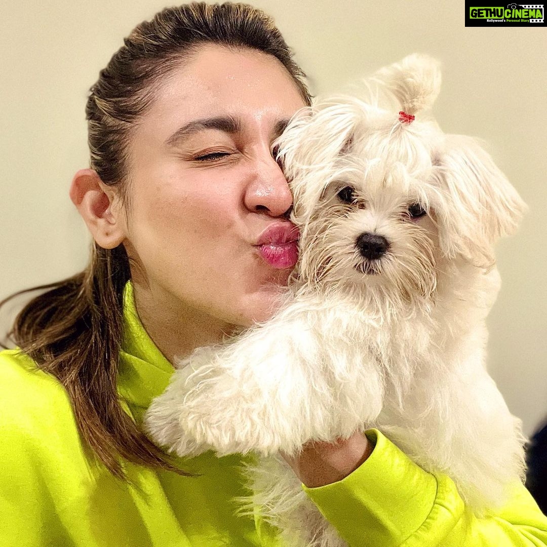 Oindrila Sen Instagram - Meet my son #TULO 🐩