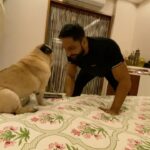 Parag Tyagi Instagram - Most amazing time of the day, Masti with my jaan Simba .. #simba #mylove #love #unconditionallove #gratitude #blessed #masti #cutie #loving #bundleofjoy