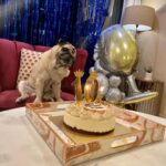 Parag Tyagi Instagram - Happy 10th birthday our love our Jaan ❤️❤️❤️ #simba #love #cute #gratitude #grateful #behealthy #happiness #birthday #birthdayboy #together #joy