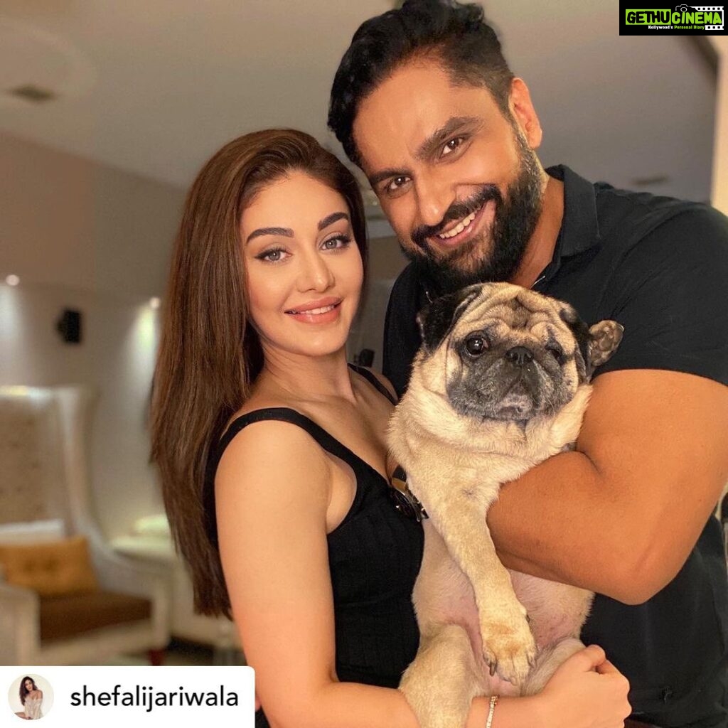 Parag Tyagi Instagram - Posted @withregram • @shefalijariwala About last night… #celebrating with @paragtyagi . . . #athome #love #spreadlove #spreadpositivity #tgif #instadaily #funtimes #life #grateful #fun @thebostoncafeandpatisserie