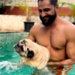 Parag Tyagi Instagram – Cooling off with papa, simba started flying for a while while swimming 😛 @simba_mommys_boy mumma @shefalijariwala did u see me flying😘
#waterbaby #pooltime #summertime #vacaymode #chilltime #pugsofinstagram #puglife #dogsofinstagram #unconditionallove #life