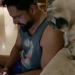 Parag Tyagi Instagram - Posted @withregram • @simba_mommys_boy I just want #attention from my papa @paragtyagi ❤️ #pugslove #pugstagram #love #gratitude