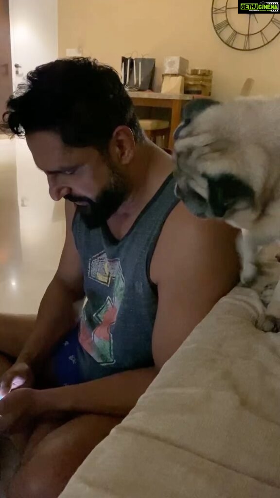 Parag Tyagi Instagram - Posted @withregram • @simba_mommys_boy I just want #attention from my papa @paragtyagi ❤️ #pugslove #pugstagram #love #gratitude