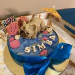 Parag Tyagi Instagram - Pure love ❤️❤️❤️ #pug #love #baby #family #gratitude